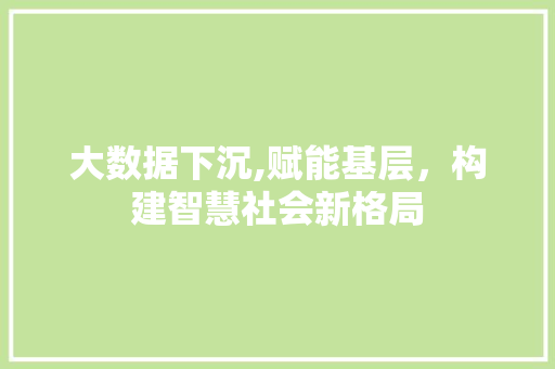 大数据下沉,赋能基层，构建智慧社会新格局