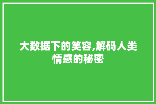 大数据下的笑容,解码人类情感的秘密