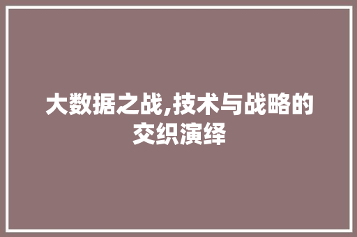 大数据之战,技术与战略的交织演绎