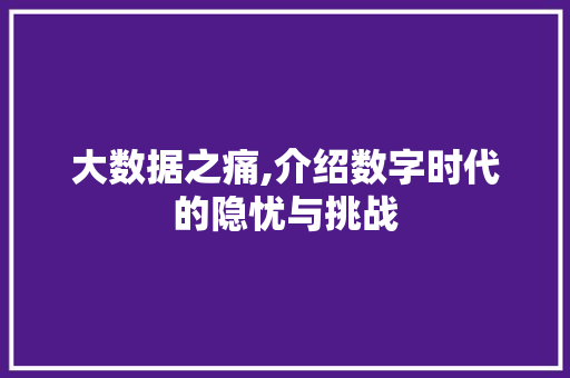 大数据之痛,介绍数字时代的隐忧与挑战
