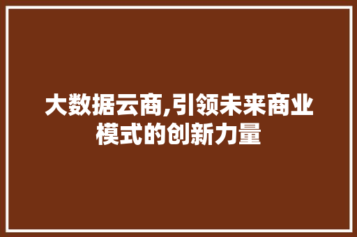 大数据云商,引领未来商业模式的创新力量