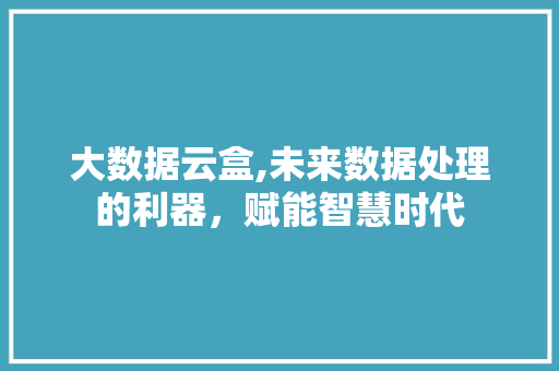 大数据云盒,未来数据处理的利器，赋能智慧时代