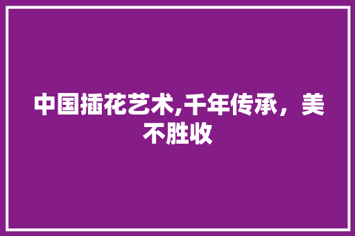 中国插花艺术,千年传承，美不胜收 农业常识