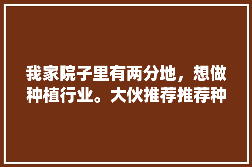 我家院子里有两分地，想做种植行业。大伙推荐推荐种植什么好呢？最好说蔬菜类型的_蔬菜种植搭配技巧有哪些呢