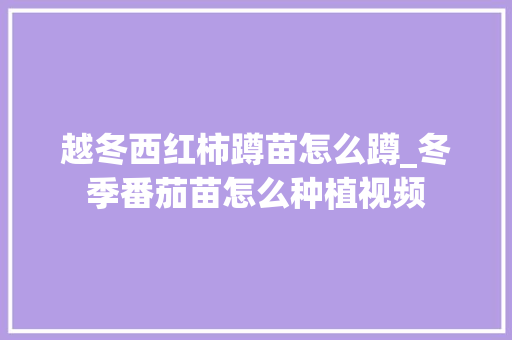 越冬西红柿蹲苗怎么蹲_冬季番茄苗怎么种植视频 越冬西红柿蹲苗怎么蹲_冬季番茄苗怎么种植视频 花朵知识