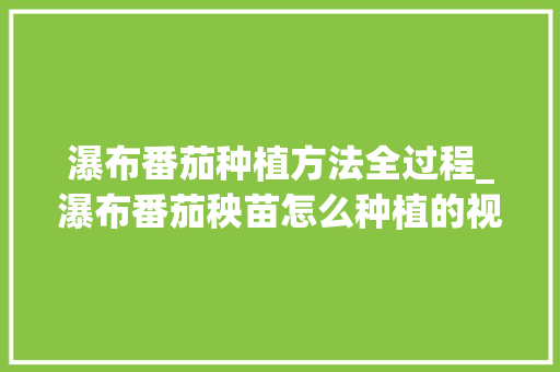 瀑布番茄种植方法全过程_瀑布番茄秧苗怎么种植的视频 瀑布番茄种植方法全过程_瀑布番茄秧苗怎么种植的视频 土壤施肥