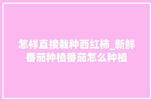 怎样直接栽种西红柿_新鲜番茄种植番茄怎么种植 怎样直接栽种西红柿_新鲜番茄种植番茄怎么种植 植物种类