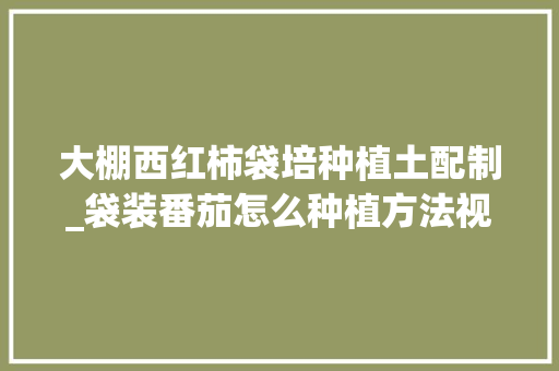 大棚西红柿袋培种植土配制_袋装番茄怎么种植方法视频