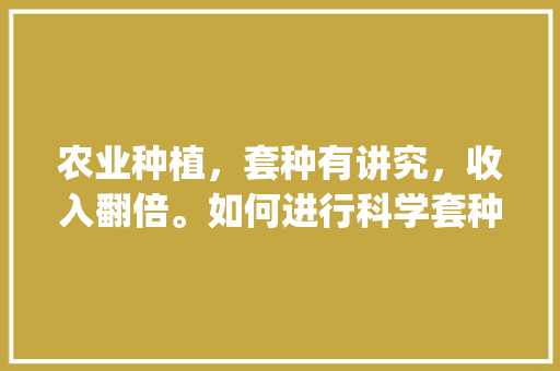 农业种植，套种有讲究，收入翻倍。如何进行科学套种_麦田番茄怎么种植的呢视频
