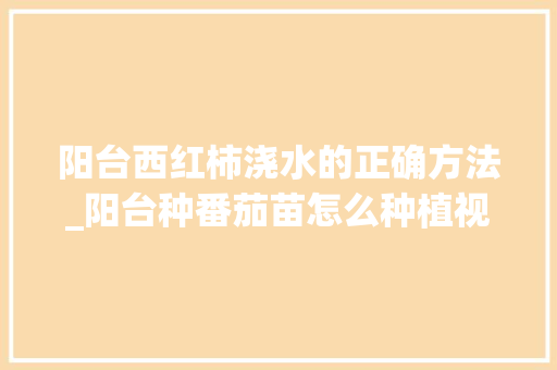 阳台西红柿浇水的正确方法_阳台种番茄苗怎么种植视频 阳台西红柿浇水的正确方法_阳台种番茄苗怎么种植视频 植物种类