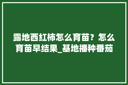 露地西红柿怎么育苗？怎么育苗早结果_基地播种番茄怎么种植的