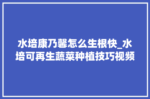 水培康乃馨怎么生根快_水培可再生蔬菜种植技巧视频