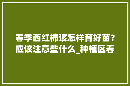 春季西红柿该怎样育好苗？应该注意些什么_种植区春天番茄怎么种植的