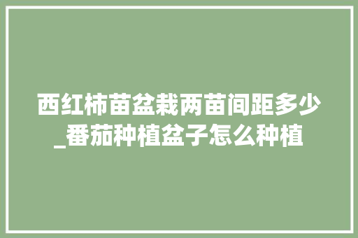 西红柿苗盆栽两苗间距多少_番茄种植盆子怎么种植 西红柿苗盆栽两苗间距多少_番茄种植盆子怎么种植 土壤施肥