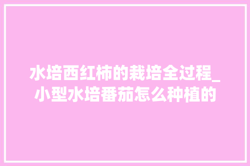 水培西红柿的栽培全过程_小型水培番茄怎么种植的