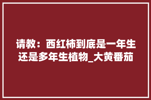 请教:西红柿到底是一年生还是多年生植物_大黄番茄怎么种植技术视频 番茄病虫害防治 请教:西红柿到底是一年生还是多年生植物_大黄番茄怎么种植技术视频 请教:西红柿到底是一年生还是多年生植物_大黄番茄怎么种植技术视频 番茄病虫害防治