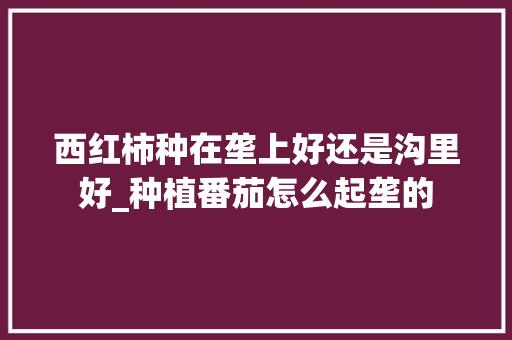 西红柿种在垄上好还是沟里好_种植番茄怎么起垄的