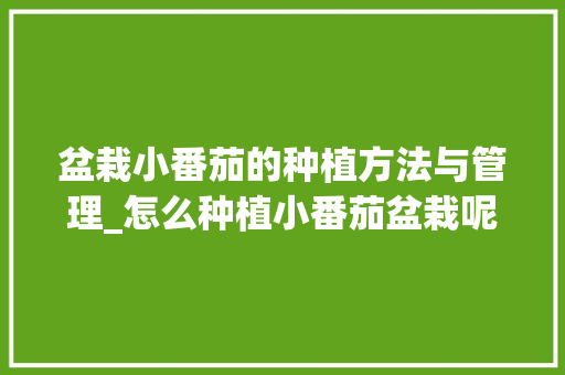 盆栽小番茄的种植方法与管理_怎么种植小番茄盆栽呢视频 盆栽小番茄的种植方法与管理_怎么种植小番茄盆栽呢视频 农业常识