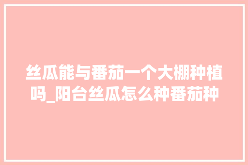 丝瓜能与番茄一个大棚种植吗_阳台丝瓜怎么种番茄种植视频 丝瓜能与番茄一个大棚种植吗_阳台丝瓜怎么种番茄种植视频 农业常识