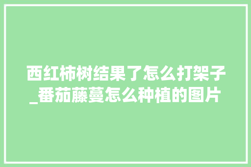 西红柿树结果了怎么打架子_番茄藤蔓怎么种植的图片大全
