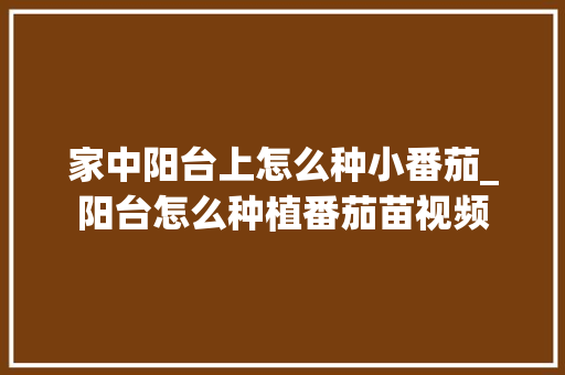 家中阳台上怎么种小番茄_阳台怎么种植番茄苗视频 家中阳台上怎么种小番茄_阳台怎么种植番茄苗视频 植物种类