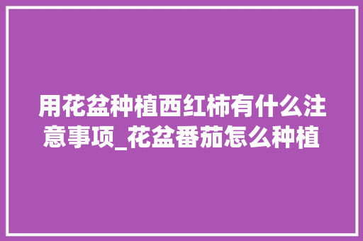 用花盆种植西红柿有什么注意事项_花盆番茄怎么种植视频