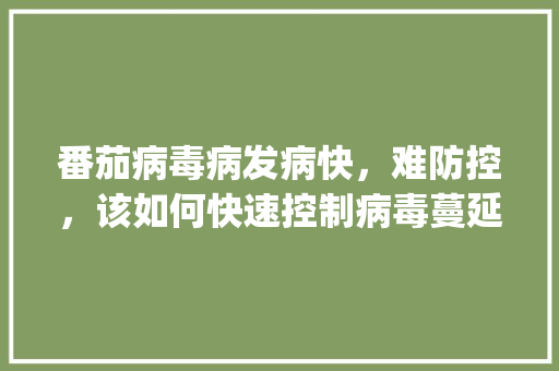 番茄病毒病发病快，难防控，该如何快速控制病毒蔓延_怎么种植番茄不害病呢