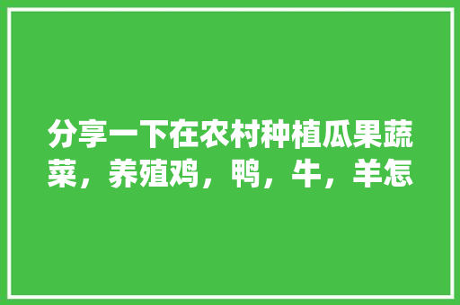 分享一下在农村种植瓜果蔬菜，养殖鸡，鸭，牛，羊怎么样_潍坊蔬菜种植技巧视频讲解