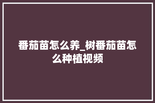 番茄苗怎么养_树番茄苗怎么种植视频 番茄苗怎么养_树番茄苗怎么种植视频 植物种类