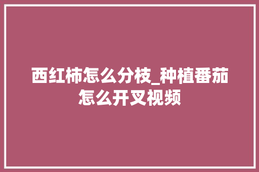 西红柿怎么分枝_种植番茄怎么开叉视频