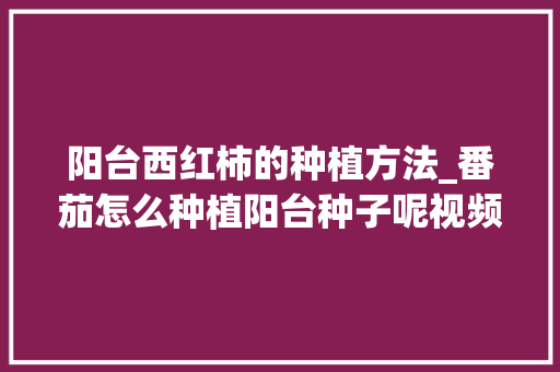 阳台西红柿的种植方法_番茄怎么种植阳台种子呢视频 阳台西红柿的种植方法_番茄怎么种植阳台种子呢视频 土壤施肥