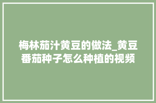 梅林茄汁黄豆的做法_黄豆番茄种子怎么种植的视频