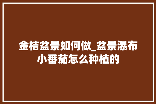 金桔盆景如何做_盆景瀑布小番茄怎么种植的