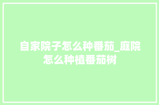 自家院子怎么种番茄_庭院怎么种植番茄树