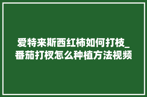 爱特来斯西红柿如何打枝_番茄打杈怎么种植方法视频