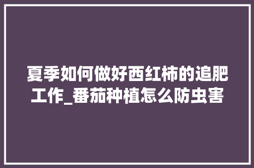 夏季如何做好西红柿的追肥工作_番茄种植怎么防虫害呢视频
