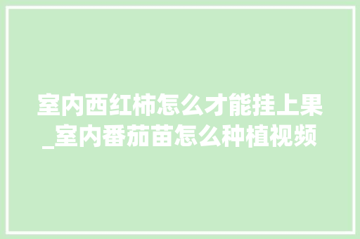 室内西红柿怎么才能挂上果_室内番茄苗怎么种植视频 室内西红柿怎么才能挂上果_室内番茄苗怎么种植视频 植物种类