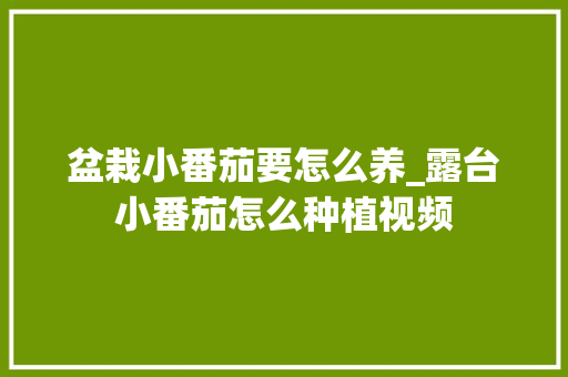盆栽小番茄要怎么养_露台小番茄怎么种植视频 盆栽小番茄要怎么养_露台小番茄怎么种植视频 番茄种植技巧