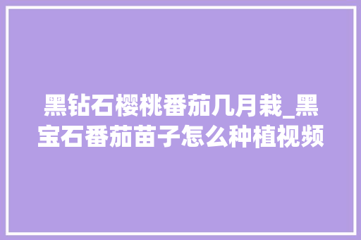 黑钻石樱桃番茄几月栽_黑宝石番茄苗子怎么种植视频