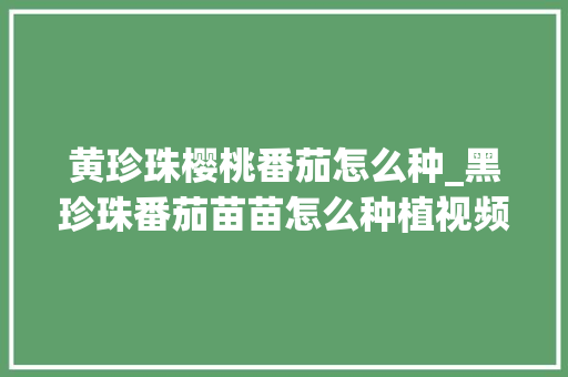 黄珍珠樱桃番茄怎么种_黑珍珠番茄苗苗怎么种植视频