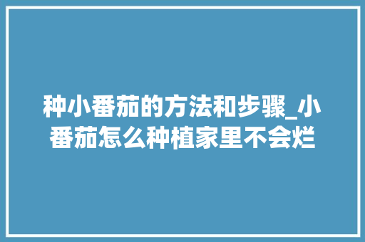 种小番茄的方法和步骤_小番茄怎么种植家里不会烂 种小番茄的方法和步骤_小番茄怎么种植家里不会烂 农业常识