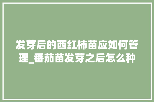 发芽后的西红柿苗应如何管理_番茄苗发芽之后怎么种植视频 发芽后的西红柿苗应如何管理_番茄苗发芽之后怎么种植视频 番茄种植技巧