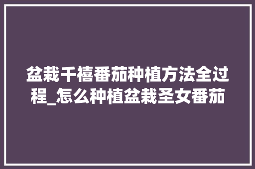 盆栽千禧番茄种植方法全过程_怎么种植盆栽圣女番茄视频 盆栽千禧番茄种植方法全过程_怎么种植盆栽圣女番茄视频 花朵知识