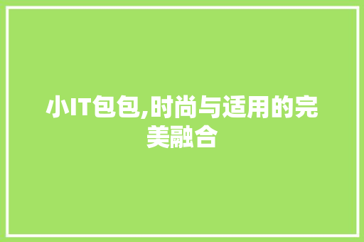 小IT包包,时尚与适用的完美融合