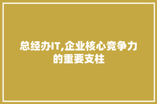 总经办IT,企业核心竞争力的重要支柱 种植技巧