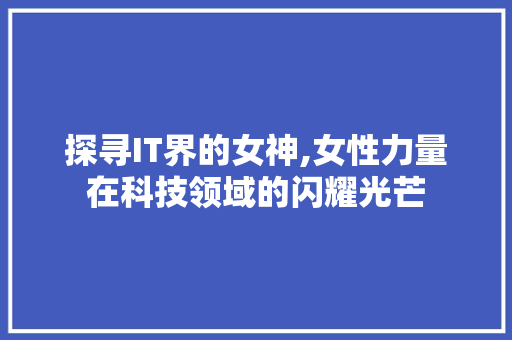 探寻IT界的女神,女性力量在科技领域的闪耀光芒