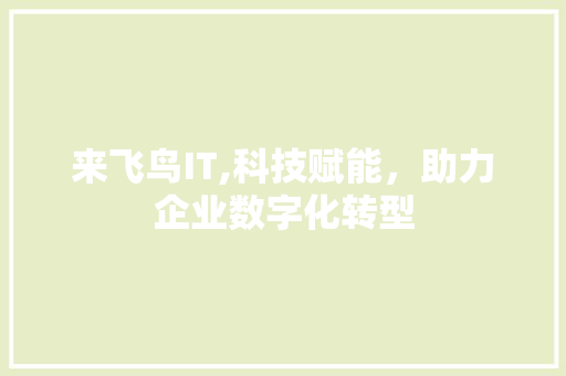 来飞鸟IT,科技赋能，助力企业数字化转型