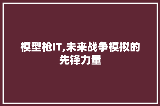 模型枪IT,未来战争模拟的先锋力量
