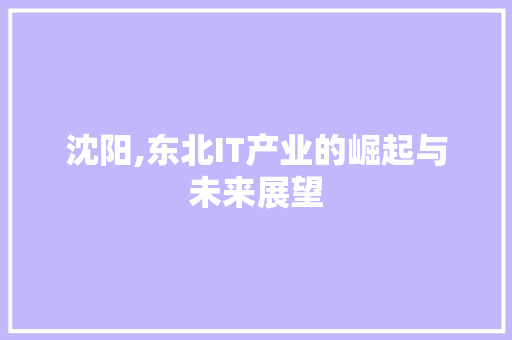 沈阳,东北IT产业的崛起与未来展望