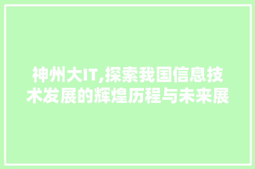 神州大IT,探索我国信息技术发展的辉煌历程与未来展望